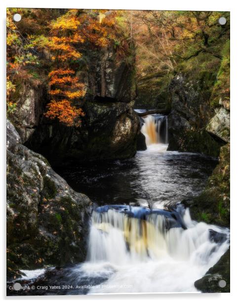 Ingleton Waterfall Trail North Yorkshire  Acrylic by Craig Yates