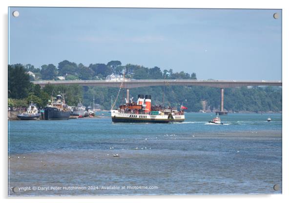 PS Waverley River Torridge Arrival Acrylic by Daryl Peter Hutchinson