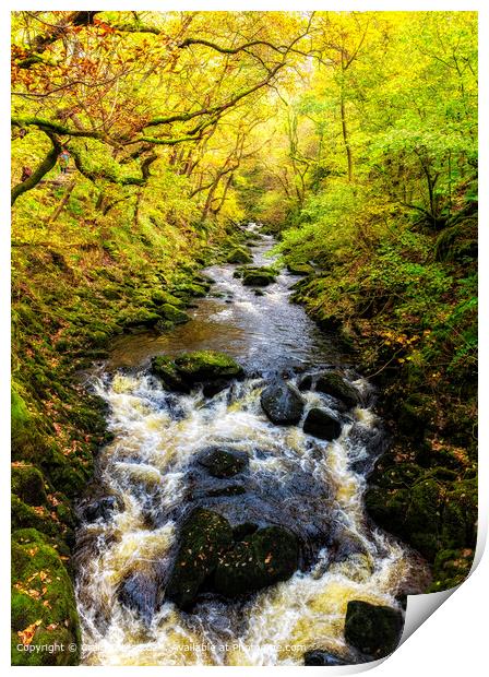 Ingleton Waterfall Trail North Yorkshire. Print by Craig Yates