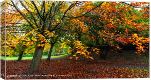 Autumnal Colours Canvas Print by Craig Yates