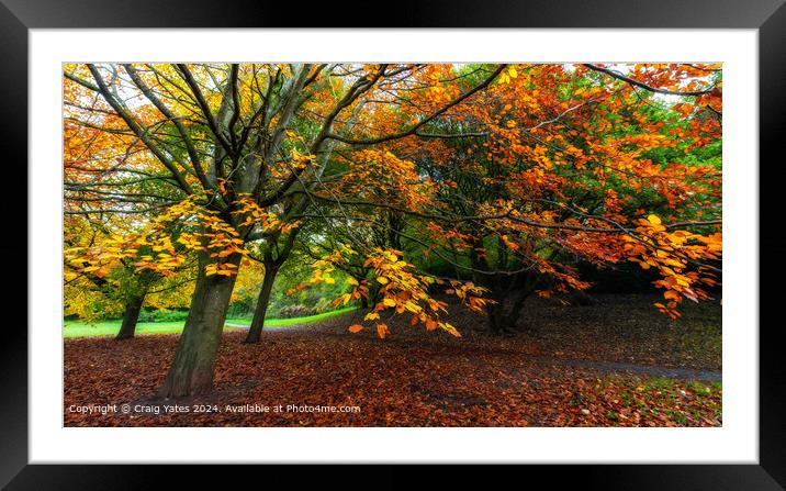 Autumnal Colours Framed Mounted Print by Craig Yates