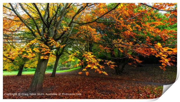 Autumnal Colours Print by Craig Yates