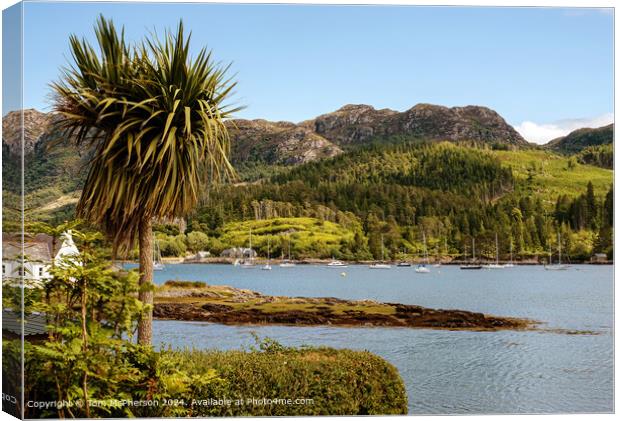 Plockton & Loch Carron, Highlands Canvas Print by Tom McPherson