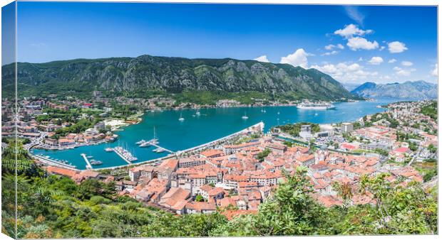 Kotor old town panorama Canvas Print by Jason Wells