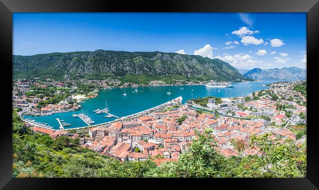 Kotor old town panorama Framed Print by Jason Wells