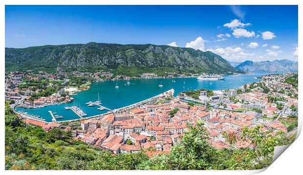 Kotor old town panorama Print by Jason Wells