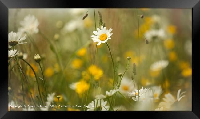 Daisy Flower Close-up,  Framed Print by Simon Johnson