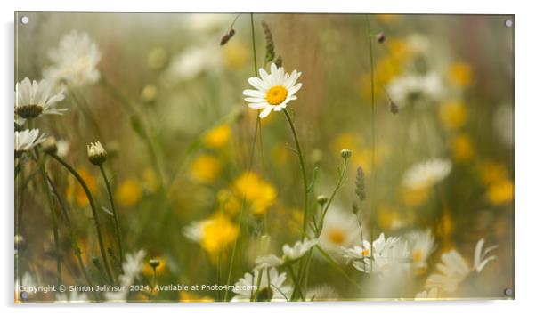 Daisy Flower Close-up,  Acrylic by Simon Johnson