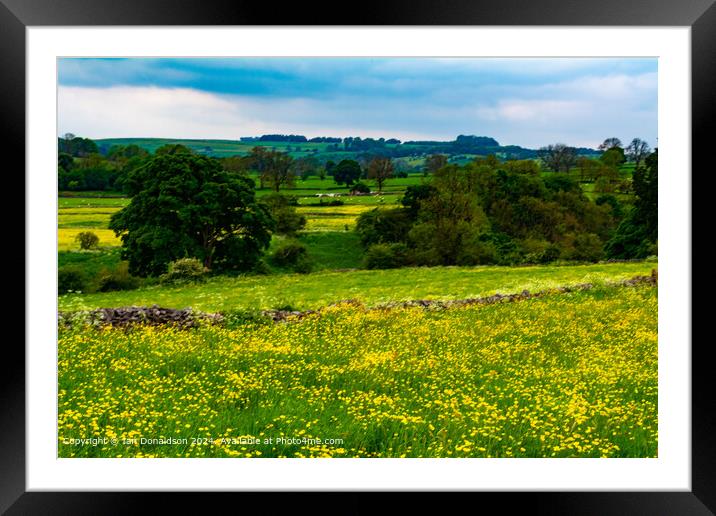 Buttercup Meadows Framed Mounted Print by Ian Donaldson