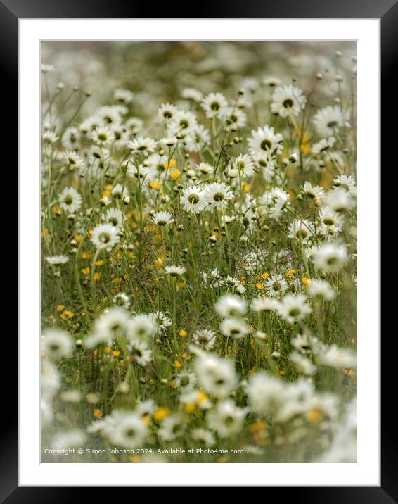 Cotswold Daisy Nature Framed Mounted Print by Simon Johnson
