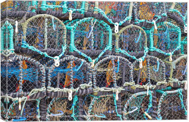 Staithes Harbour Lobster Pots Canvas Print by David Barrell