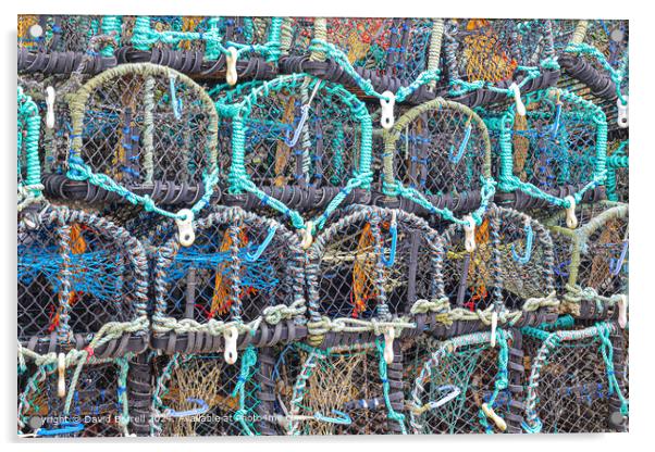 Staithes Harbour Lobster Pots Acrylic by David Barrell