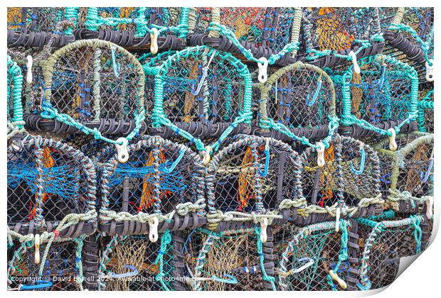Staithes Harbour Lobster Pots Print by David Barrell