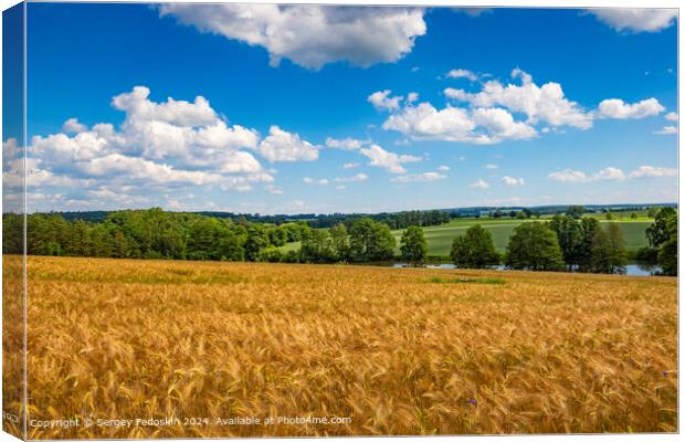 Blue sky with clouds over the rye fields. Agricultural lands. Canvas Print by Sergey Fedoskin