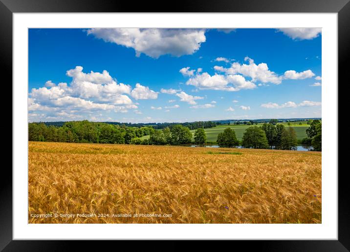 Blue sky with clouds over the rye fields. Agricultural lands. Framed Mounted Print by Sergey Fedoskin