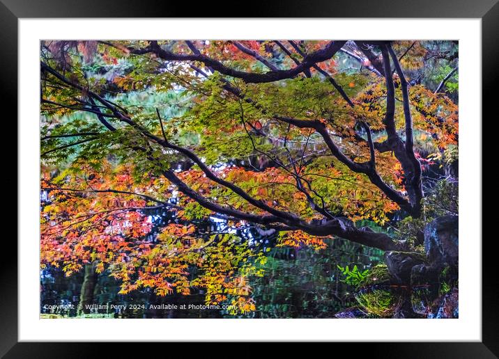 Heian Shrine Autumn Reflection Framed Mounted Print by William Perry