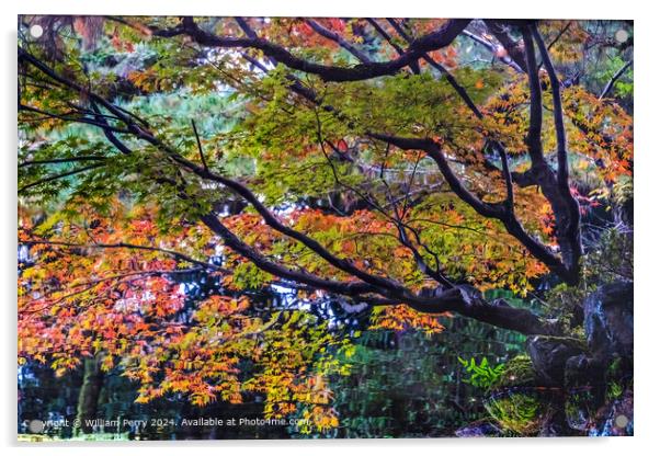 Heian Shrine Autumn Reflection Acrylic by William Perry