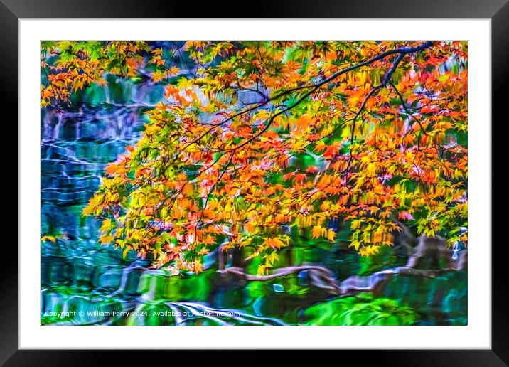 Water Reflection Abstract Autumn Heian Shrine Kyoto Japan Framed Mounted Print by William Perry