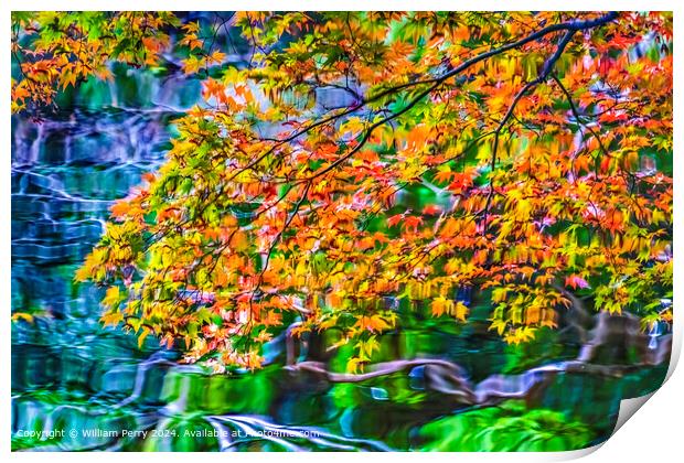 Water Reflection Abstract Autumn Heian Shrine Kyoto Japan Print by William Perry