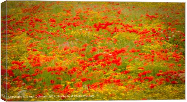 Sunlit Poppies Meadow Nature Canvas Print by Simon Johnson