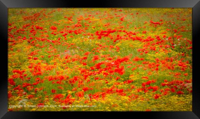 Sunlit Poppies Meadow Nature Framed Print by Simon Johnson