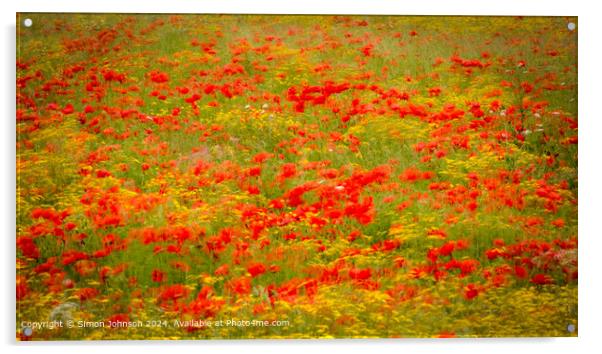 Sunlit Poppies Meadow Nature Acrylic by Simon Johnson