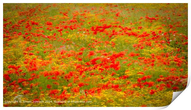 Sunlit Poppies Meadow Nature Print by Simon Johnson