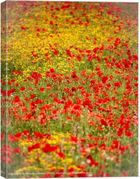 Sunlit Poppies Meadow Landscape Canvas Print by Simon Johnson