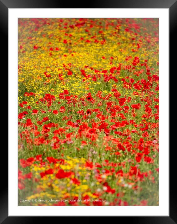 Sunlit Poppies Meadow Landscape Framed Mounted Print by Simon Johnson