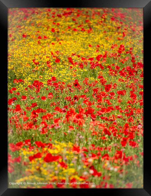 Sunlit Poppies Meadow Landscape Framed Print by Simon Johnson