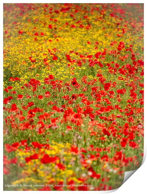 Sunlit Poppies Meadow Landscape Print by Simon Johnson