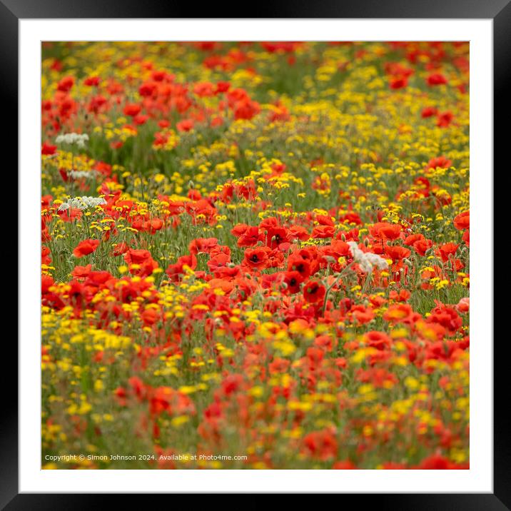 Sunlit Poppies Meadow Landscape Framed Mounted Print by Simon Johnson