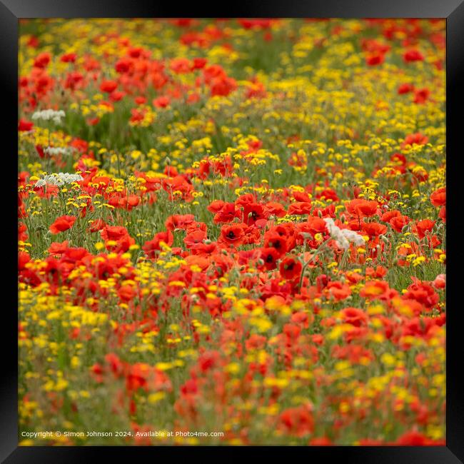 Sunlit Poppies Meadow Landscape Framed Print by Simon Johnson