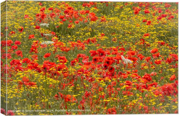 sunlit Poppies and meadow flowers  Canvas Print by Simon Johnson