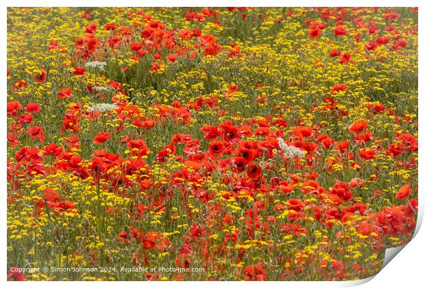 sunlit Poppies and meadow flowers  Print by Simon Johnson