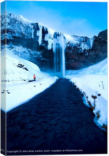 Freezing a Giant: Seljalandsfoss in Deepest Winter Canvas Print by Alice Rose Lenton