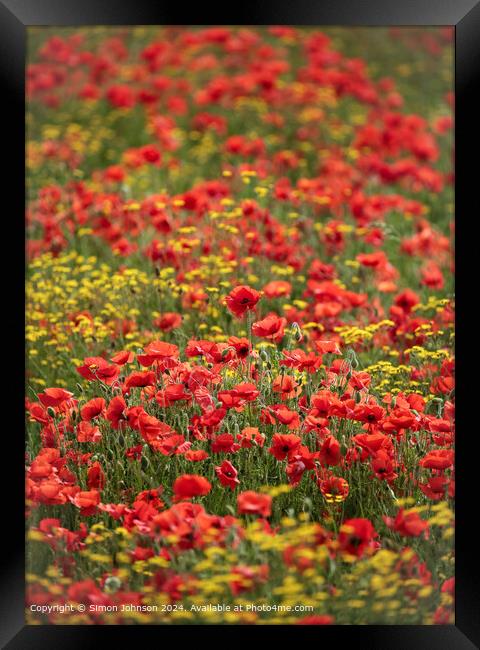 Impressionist poppies  Framed Print by Simon Johnson