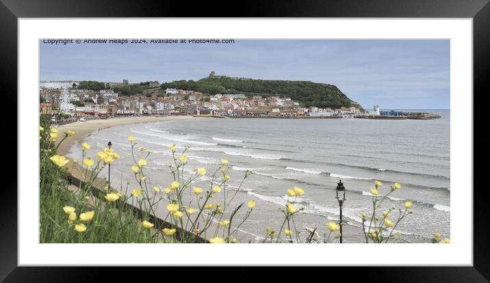 Scarborough Harbour Cove Landscape Framed Mounted Print by Andrew Heaps