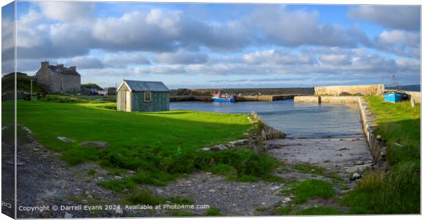 Fresgoe Harbour Canvas Print by Darrell Evans