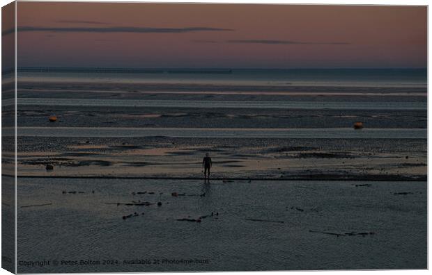 Tidal Pool Performance, Essex Canvas Print by Peter Bolton