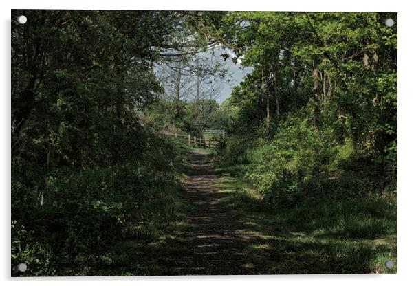 Woodland Copse, Shoeburyness, Essex Acrylic by Peter Bolton