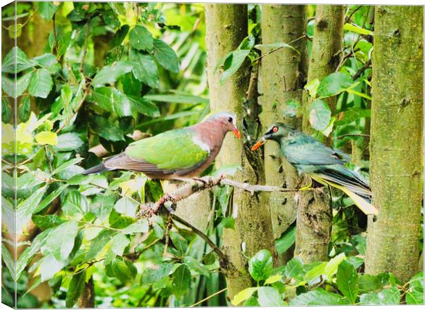 Tropical Birds Meeting Canvas Print by chris hyde