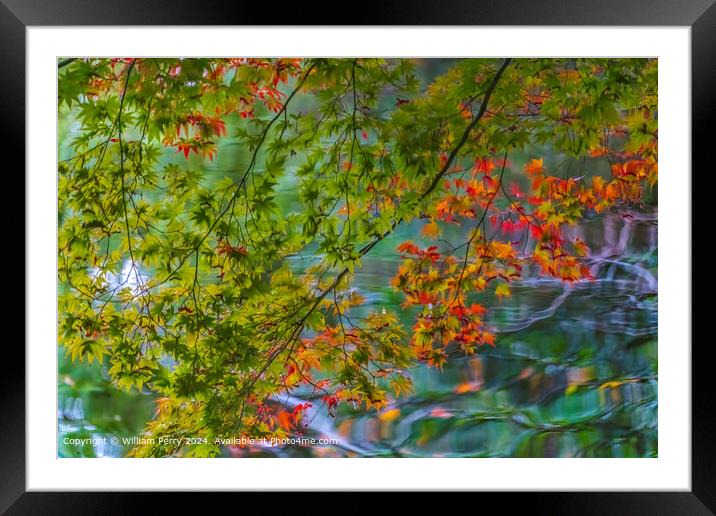 Colorful Water Reflection Abstract Kyoto Heian Shrine Kyoto Japan Framed Mounted Print by William Perry