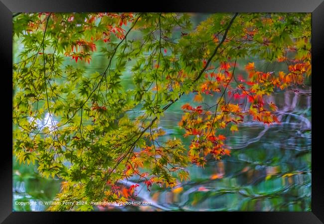 Colorful Water Reflection Abstract Kyoto Heian Shrine Kyoto Japan Framed Print by William Perry