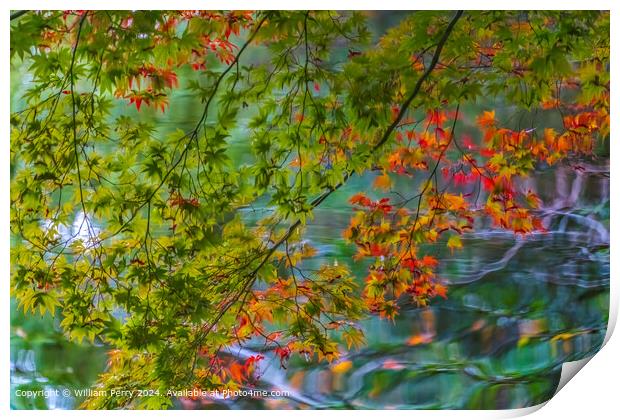 Colorful Water Reflection Abstract Kyoto Heian Shrine Kyoto Japan Print by William Perry
