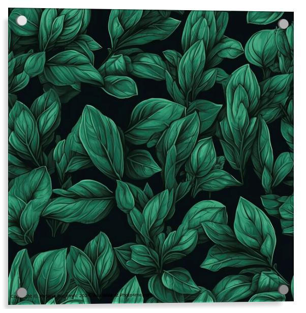 Green Basil Leaves Seamless Pattern Acrylic by Mirjana Bogicevic