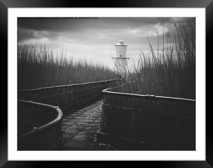 Newport Wetlands Framed Mounted Print by Angela Aird