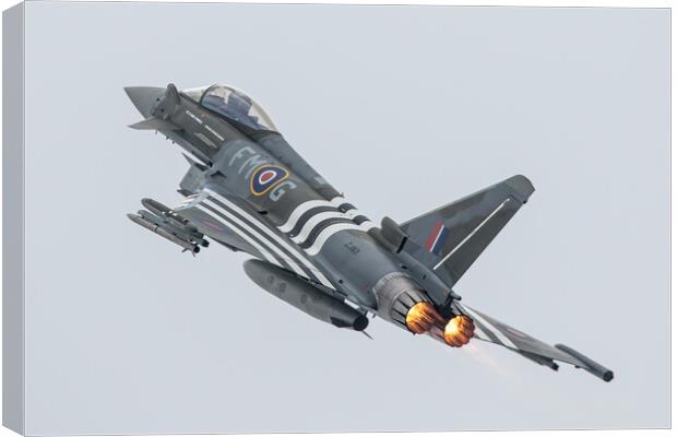 Eurofighter Typhoon Moggy FMG Canvas Print by J Biggadike