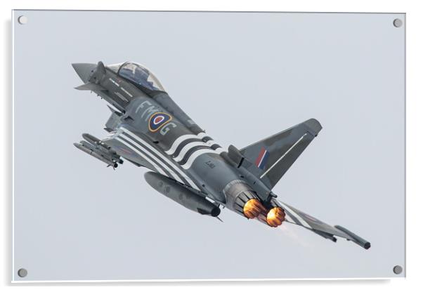 Eurofighter Typhoon Moggy FMG Acrylic by J Biggadike