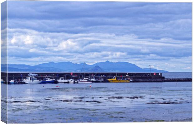 Maidens Harbour Arran Mountains Canvas Print by Allan Durward Photography